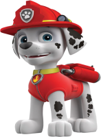 a dalmatian fire dog